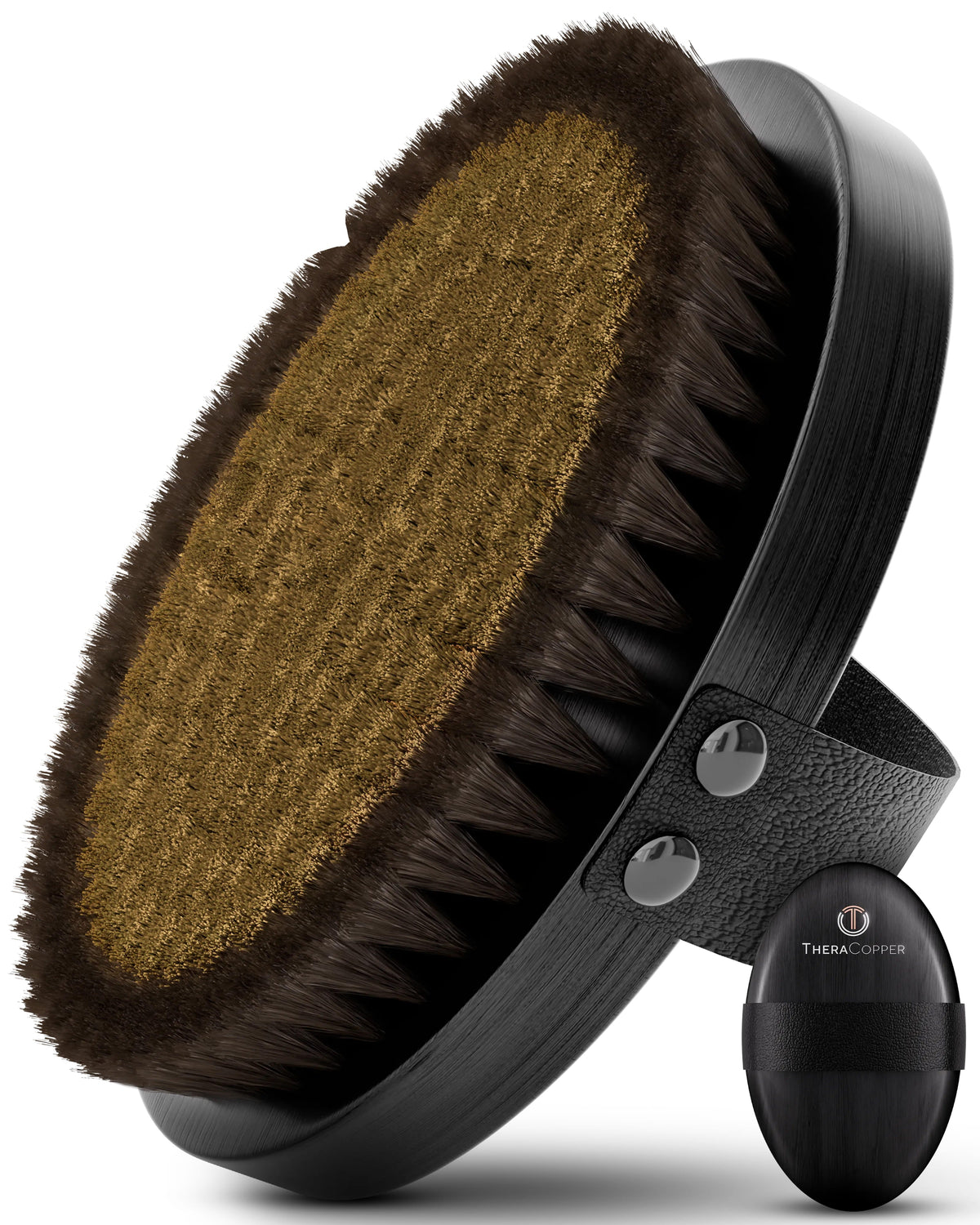 Close-up of the TheraCopper Dry Body Brush highlighting natural horsehair bristles and ergonomic beechwood construction.
